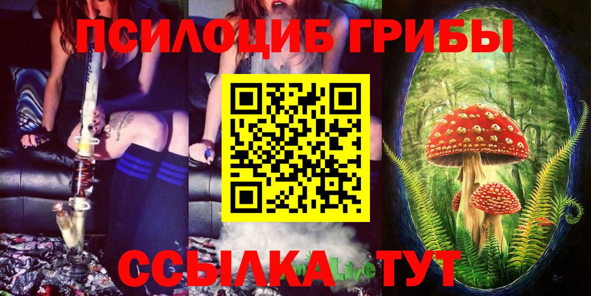 Псилоцибиновые грибы ЛСД Пушкино